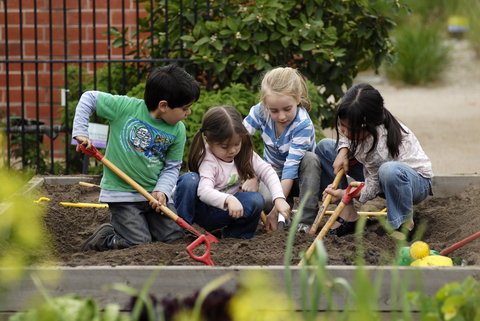 The Ian Potter Foundation Children's Garden - See Attractions 0