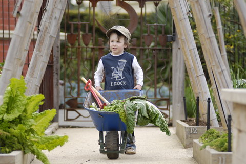 The Ian Potter Foundation Children's Garden - See Attractions 1
