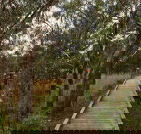 The Briars Park Walking Trails - Attractions