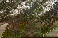 The Briars Park Walking Trails