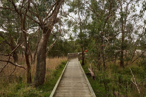 The Briars Park Walking Trails - Attractions 0