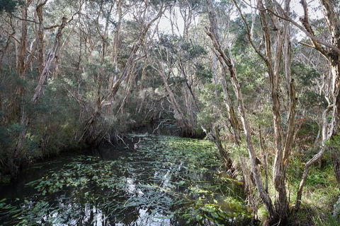 The Briars Park Walking Trails - Attractions 2