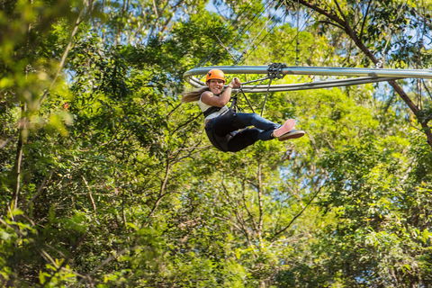 TreeTop Crazy Rider - Attractions 0