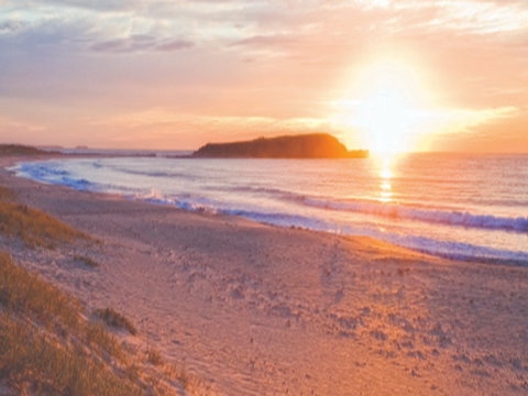 Warilla Beach: Shellharbour - Attractions 0