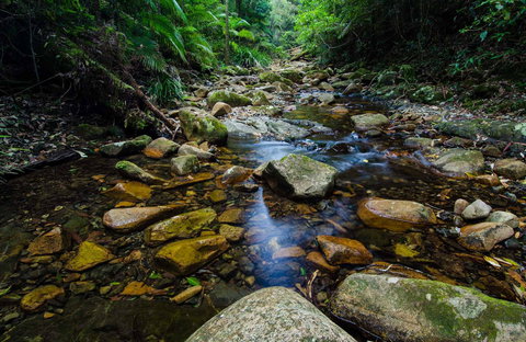 Willi Willi National Park - Attractions 0