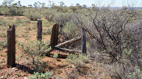 Winnecke Goldfield Cemetery - Attractions 2