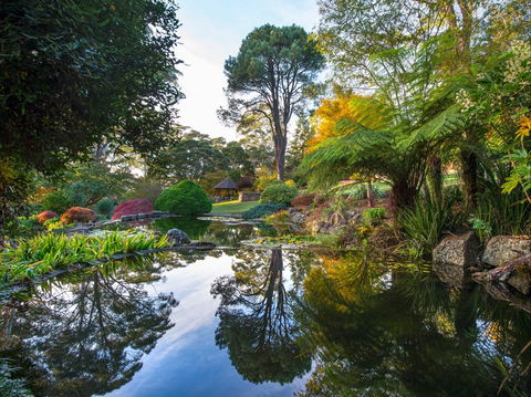 Windyridge Garden Mount Wilson - Attractions 1