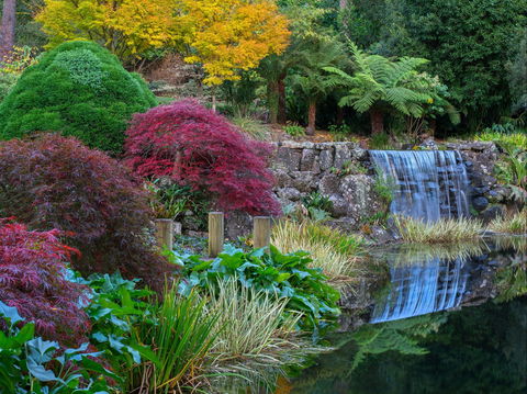 Windyridge Garden Mount Wilson - Attractions 2