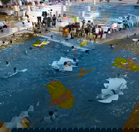 Wodonga Sports and Leisure Centre - Attractions