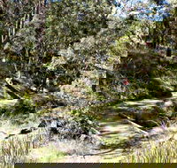 Wollomombi Walking Track - Attractions
