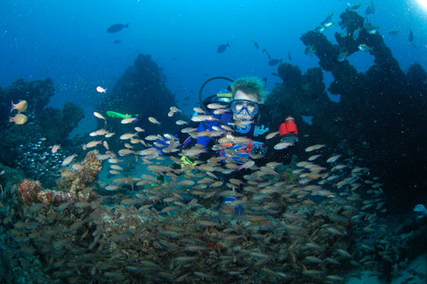 Aarhus Dive Site - See Attractions 0