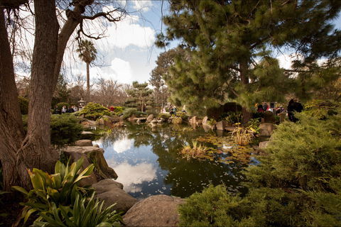 Adelaide Himeji Garden - Attractions 1