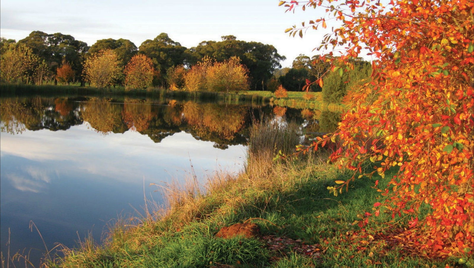 Alpine NSW Attractions