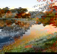 Alpine - Attractions