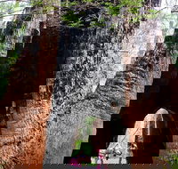 Ancient Empire Walk Valley of the Giants - Attractions