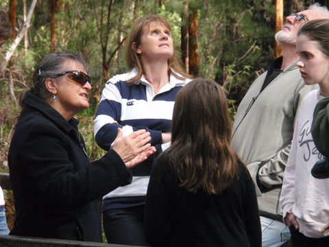 Ancient Empire Walk, Valley Of The Giants - Attractions 1