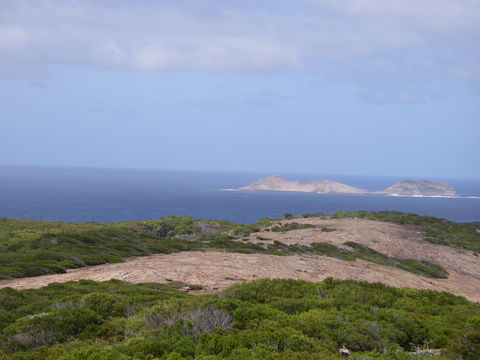 Archipelago Of The Recherche - Attractions 0