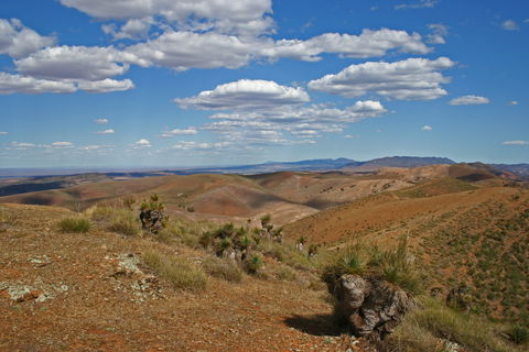 Arden Hills 4WD Track. - Attractions 0