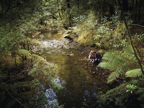 Arthur River - Attractions 1