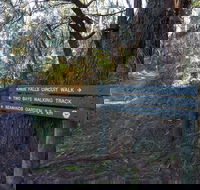 Arthurs Seat to Kings Falls Walk - Attractions