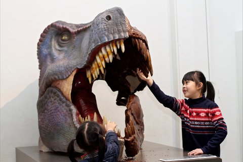 Australian Museum - See Attractions 0