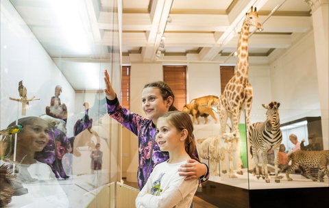 Australian Museum - See Attractions 1