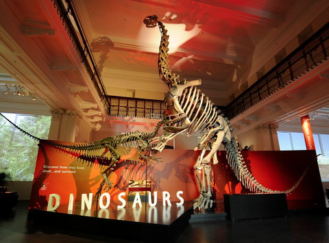 Australian Museum - See Attractions 2