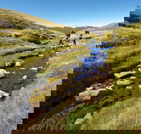Australian Alps Walking Track - Attractions