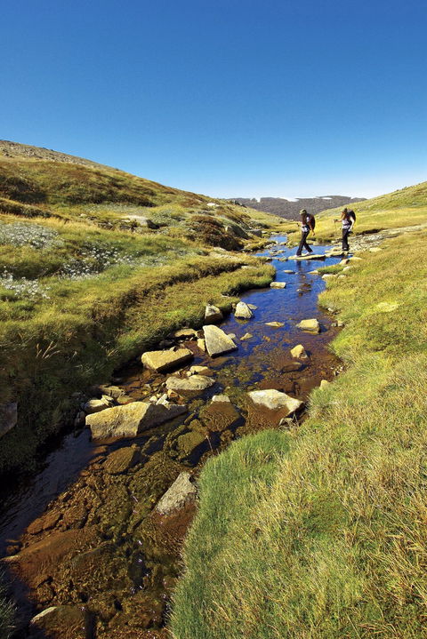 Australian Alps Walking Track - Attractions 0