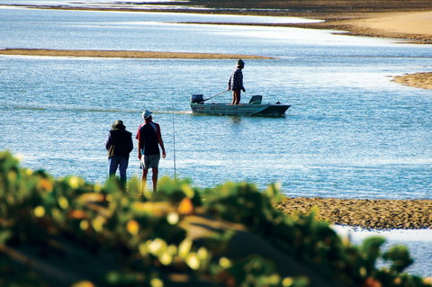 Ayr - See Attractions 0