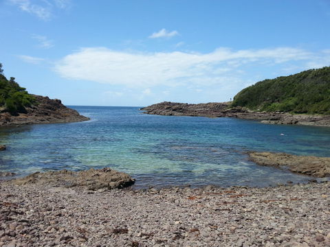 Bass Point Reserve - Attractions 0