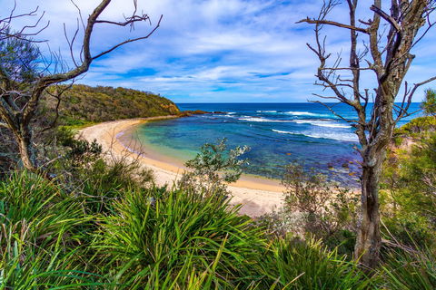 Bendalong (Inyadda) Beach - Attractions 0