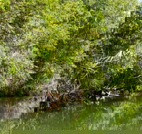 Berry Springs Nature Park - Attractions