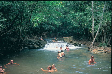 Berry Springs Nature Park - Attractions 1