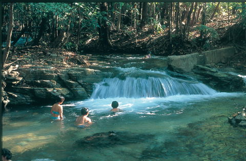 Berry Springs Nature Park - Attractions 2