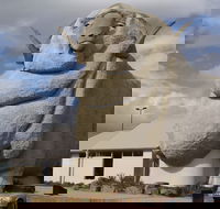 Big Merino - Attractions