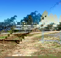 Bindea Walking Track - Attractions