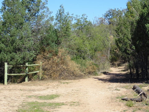 Bindea Walking Track - Attractions Las Vegas 1