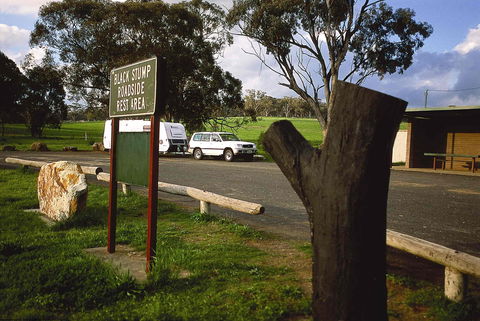 Black Stump Rest Area - Attractions Las Vegas 0