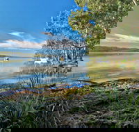 Black Oaks Picnic Area - Attractions