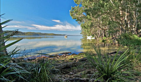 Black Oaks Picnic Area - Attractions 0