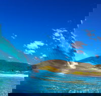 Blueys Beach Pacific Palms - Attractions