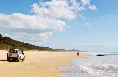 Bongil Bongil National Park - Attractions 0