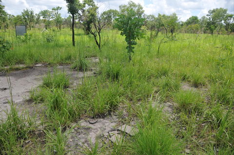Brocks Creek Chinatown And Temple Site - Attractions 2