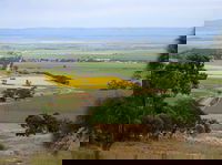 Brooks Lookout