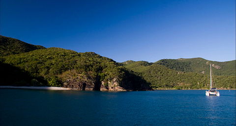 Butterfly Bay - Hook Island - Attractions 0