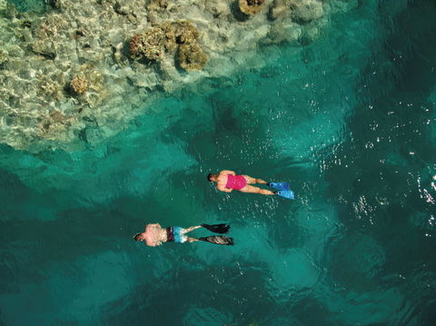 Capricornia Cays National Park - See Attractions 1