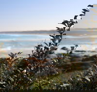 Cape Conran Coastal Park - Attractions