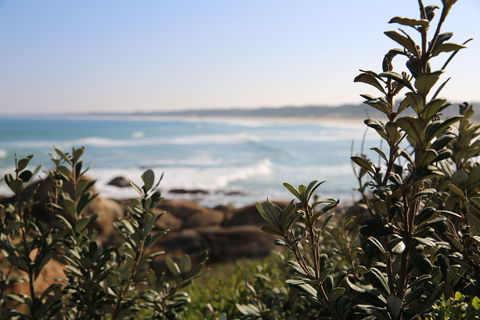 Cape Conran Coastal Park - Attractions 0