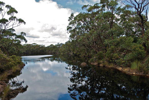 Cape Conran Coastal Park - Attractions 2